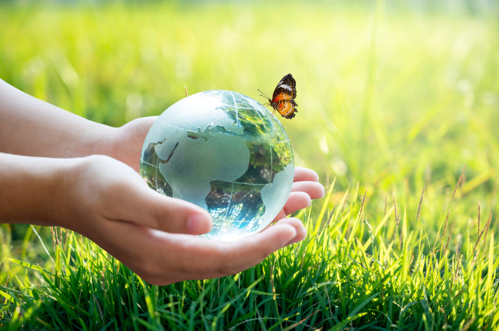 Entomologia, Biodiversità e Selvicoltura Entomologia, Biodiversità e Selvicoltura
